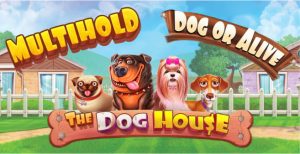 Dog House - Multihold & Dog or Alive