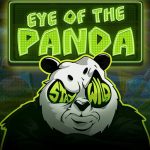 Eye Of The Panda