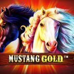 Mustang Gold